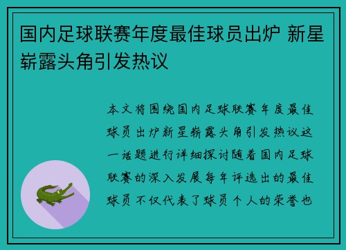 国内足球联赛年度最佳球员出炉 新星崭露头角引发热议